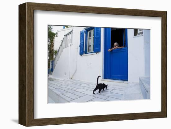 Cat, Pyrgos Village, Tinos, Cyclades, Greek Islands, Greece, Europe-Tuul-Framed Photographic Print