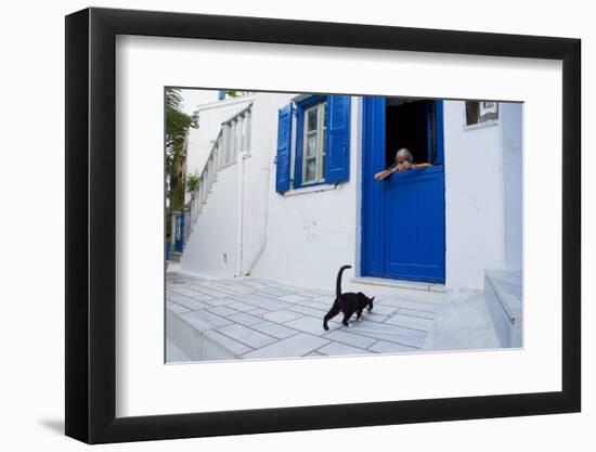Cat, Pyrgos Village, Tinos, Cyclades, Greek Islands, Greece, Europe-Tuul-Framed Photographic Print