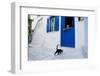 Cat, Pyrgos Village, Tinos, Cyclades, Greek Islands, Greece, Europe-Tuul-Framed Photographic Print