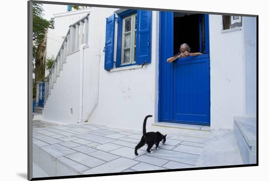 Cat, Pyrgos Village, Tinos, Cyclades, Greek Islands, Greece, Europe-Tuul-Mounted Photographic Print