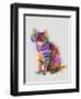 Cat Rainbow Splash 7-Fab Funky-Framed Art Print