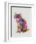 Cat Rainbow Splash 7-Fab Funky-Framed Art Print