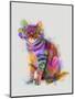 Cat Rainbow Splash 7-Fab Funky-Mounted Art Print