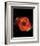 Cat's Eye Nebula Print-null-Framed Art Print