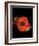 Cat's Eye Nebula Print-null-Framed Art Print