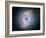 Cat's Eye Nebula-null-Framed Photographic Print