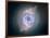 Cat's Eye Nebula-null-Framed Photographic Print