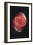 Cat's Eye Nebula-null-Framed Art Print