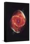 Cat's Eye Nebula-null-Framed Stretched Canvas