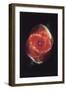 Cat's Eye Nebula-null-Framed Art Print