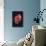 Cat's Eye Nebula-null-Art Print displayed on a wall
