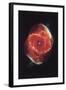 Cat's Eye Nebula-null-Framed Art Print