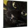 Cat’s Eyes-Cherie Roe Dirksen-Mounted Giclee Print