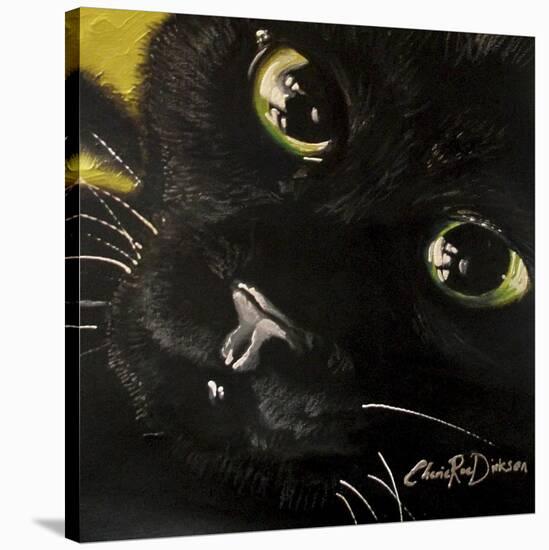 Cat’s Eyes-Cherie Roe Dirksen-Stretched Canvas