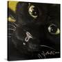 Cat’s Eyes-Cherie Roe Dirksen-Stretched Canvas
