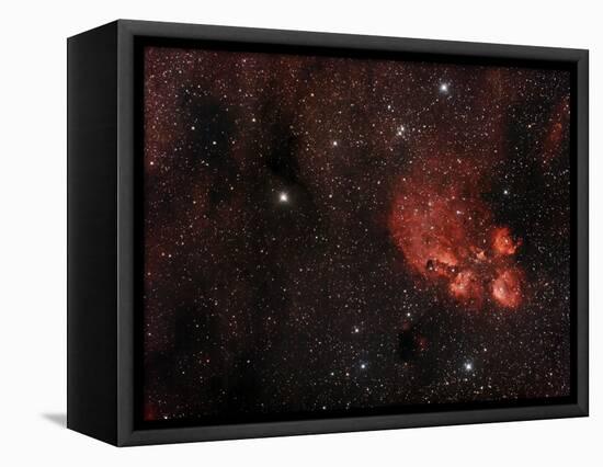 Cat's Paw Nebula in Scorpius-null-Framed Stretched Canvas