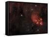 Cat's Paw Nebula in Scorpius-null-Framed Stretched Canvas