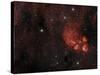 Cat's Paw Nebula in Scorpius-null-Stretched Canvas