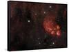 Cat's Paw Nebula in Scorpius-null-Framed Stretched Canvas