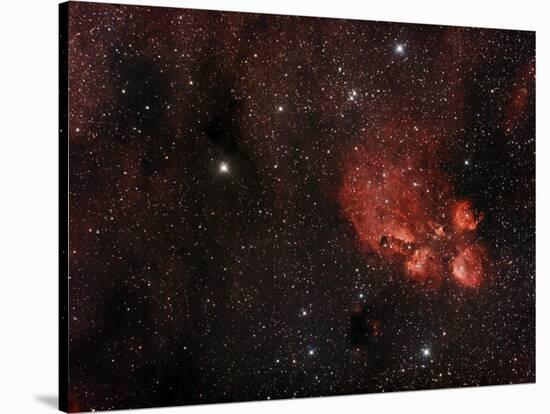 Cat's Paw Nebula in Scorpius-null-Stretched Canvas