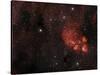 Cat's Paw Nebula in Scorpius-null-Stretched Canvas