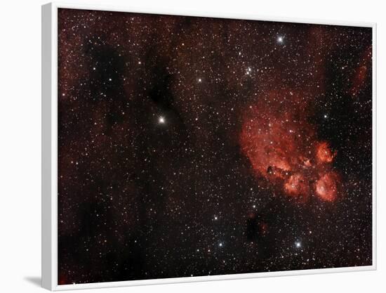 Cat's Paw Nebula in Scorpius-null-Framed Photographic Print