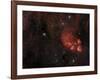 Cat's Paw Nebula in Scorpius-null-Framed Photographic Print