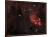 Cat's Paw Nebula in Scorpius-null-Framed Photographic Print