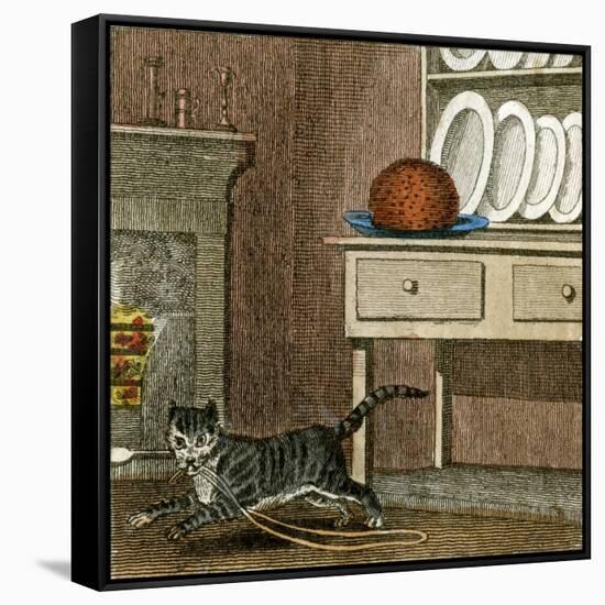 Cat's Run Away 1818-null-Framed Stretched Canvas