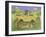 Cat Safari-Pat Scott-Framed Giclee Print