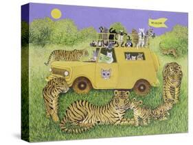 Cat Safari-Pat Scott-Stretched Canvas