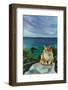 Cat Sea Oil Painting.-Anna Pismenskova-Framed Photographic Print