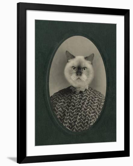 Cat Series #1-J Hovenstine Studios-Framed Giclee Print