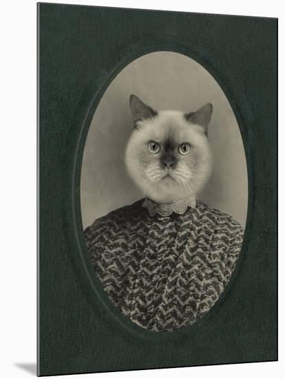 Cat Series #1-J Hovenstine Studios-Mounted Giclee Print