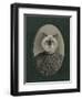 Cat Series #1-J Hovenstine Studios-Framed Giclee Print