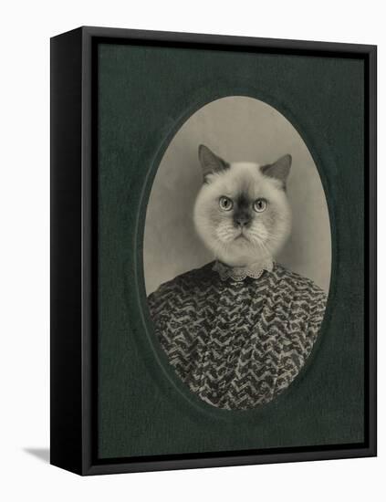 Cat Series #1-J Hovenstine Studios-Framed Stretched Canvas