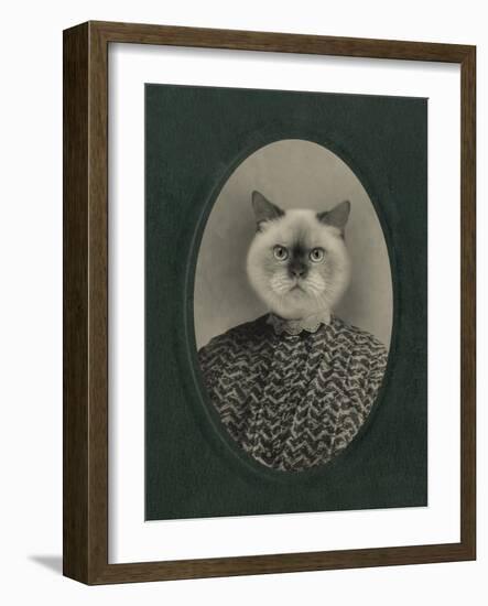 Cat Series #1-J Hovenstine Studios-Framed Giclee Print