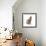 Cat Sitting Abstract Circles-Ron Magnes-Framed Giclee Print displayed on a wall