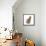 Cat Sitting Abstract Circles-Ron Magnes-Framed Stretched Canvas displayed on a wall