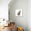 Cat Sitting Abstract Circles-Ron Magnes-Stretched Canvas displayed on a wall