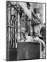 Cat Sitting Atop City Stoop-Bettmann-Mounted Photographic Print