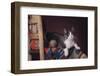 Cat Sitting by Ball of Yarn-DLILLC-Framed Photographic Print