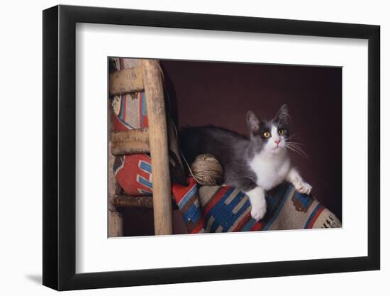 Cat Sitting by Ball of Yarn-DLILLC-Framed Photographic Print