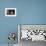 Cat Sitting by Ball of Yarn-DLILLC-Framed Photographic Print displayed on a wall