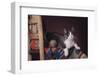 Cat Sitting by Ball of Yarn-DLILLC-Framed Photographic Print