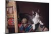 Cat Sitting by Ball of Yarn-DLILLC-Mounted Photographic Print