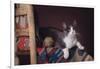 Cat Sitting by Ball of Yarn-DLILLC-Framed Photographic Print