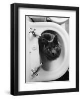 Cat Sitting In Bathroom Sink-Natalie Fobes-Framed Premium Photographic Print