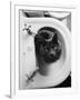 Cat Sitting In Bathroom Sink-Natalie Fobes-Framed Premium Photographic Print