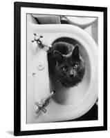 Cat Sitting In Bathroom Sink-Natalie Fobes-Framed Premium Photographic Print